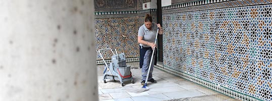 Limpieza en el Alcázar